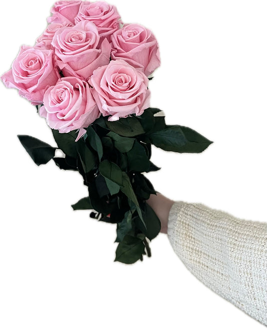 Varrellinen kestoruusu - Baby pink